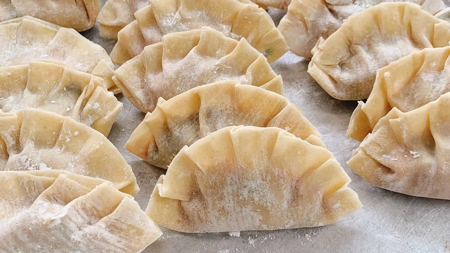 uncooked potstickers